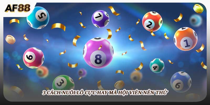 3 cách nuôi lô cực hay mà hội viên nên thử 