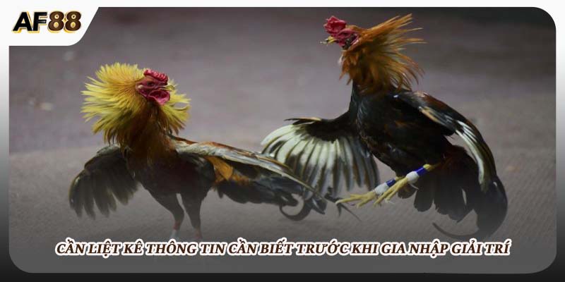 Cần liệt kê thông tin cần biết trước khi gia nhập giải trí