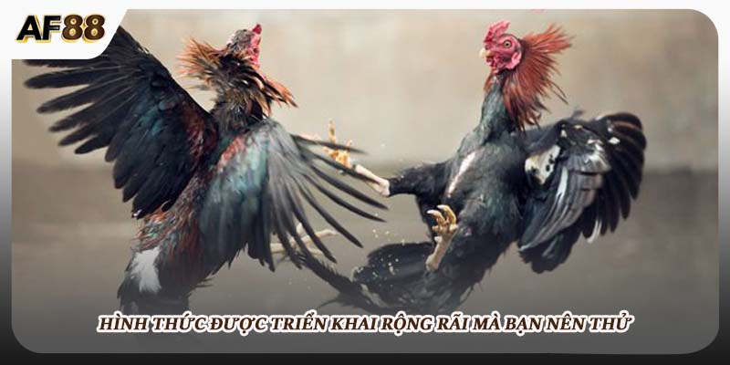 Hình thức được triển khai rộng rãi mà bạn nên thử