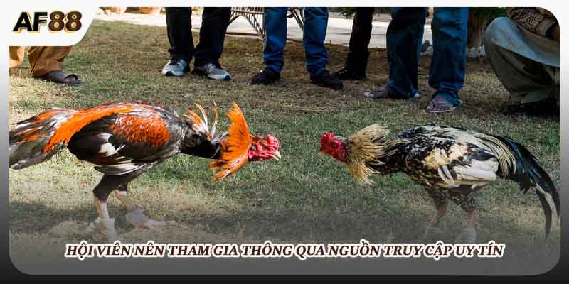 Hội viên nên tham gia thông qua nguồn truy cập uy tín
