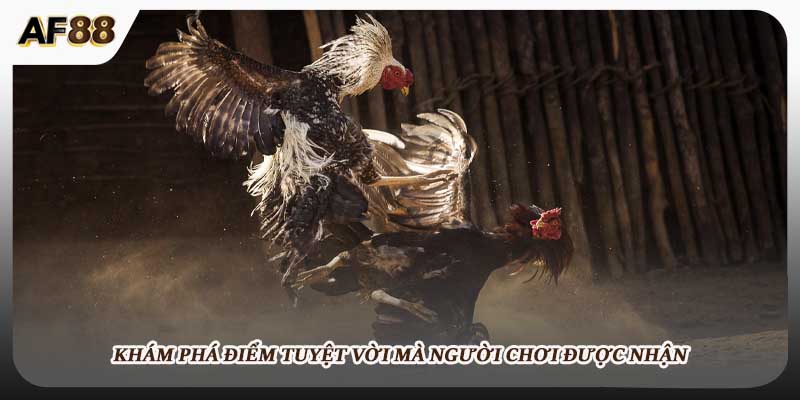 Khám phá điểm tuyệt vời mà người chơi được nhận