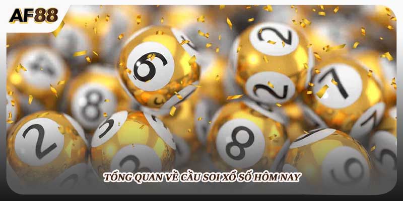 Tổng quan về cầu soi xổ số hôm nay 